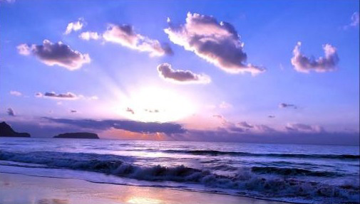 1591433273398487.jpg 8.jpg