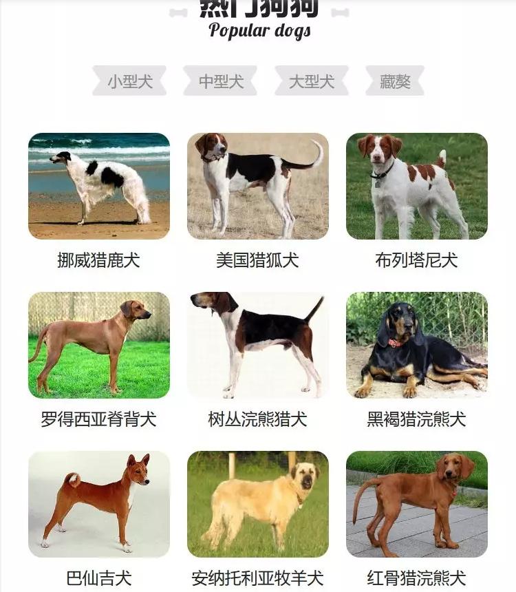 1593322150155263.png qw.PNG