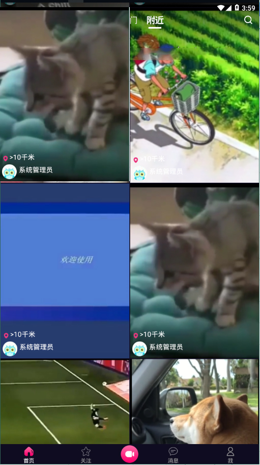 1595835355102299.jpg cd2ce56f3895c512bfac84ac1973b145.jpg