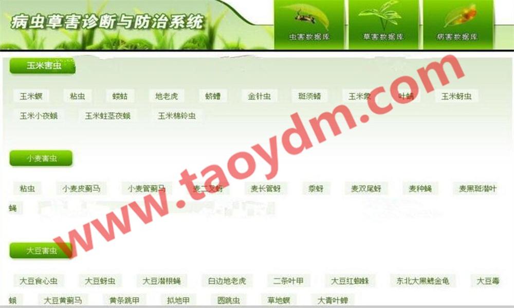 1598671070346128.jpg 2.jpg